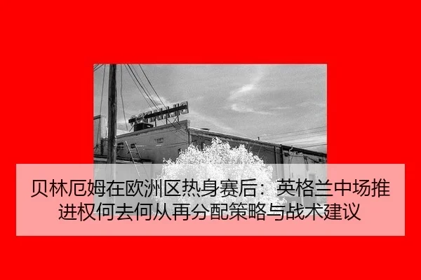 bei-lin-e-mu-zai-ou-zhou-qu-re-shen-sai-hou-ying-ge-lan-zhong-chang-tui-jin-quan-he-qu-he-cong-zai-fen-pei-ce-lve-yu-2-507.jpg