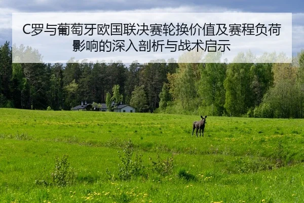 luo-yu-pu-tao-ya-ou-guo-lian-jue-sai-lun-huan-jia-zhi-ji-sai-cheng-fu-he-ying-xiang-de-shen-ru-pou-xi-yu-zhan-shu-qi-shi-2-387.jpg